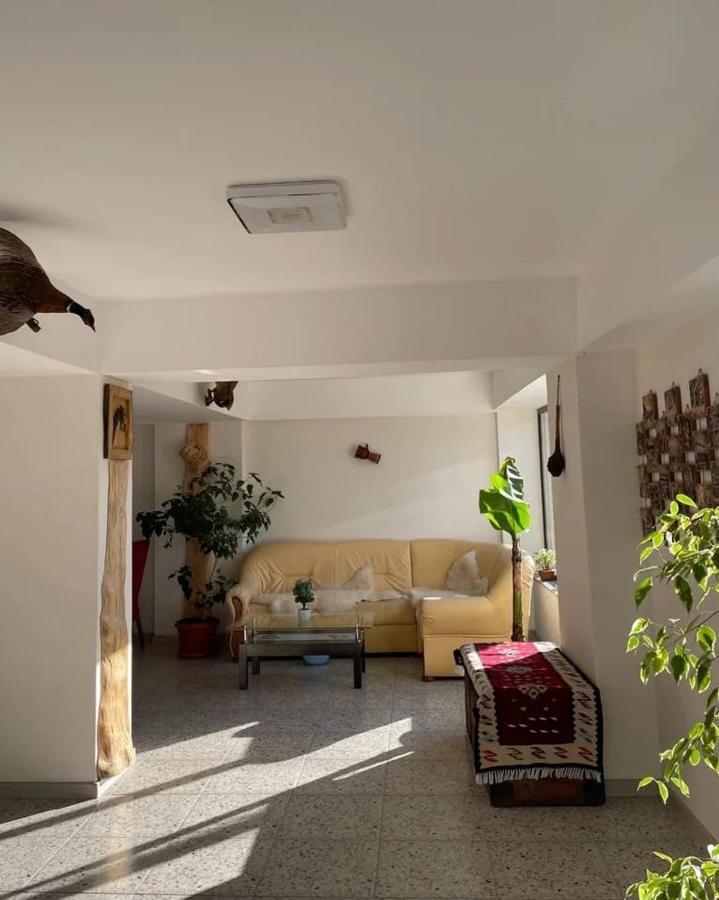 Casa De Vacanta Clara Maria Comarnic Kültér fotó